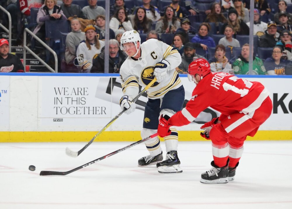 Red Wings - Eichel.jpeg