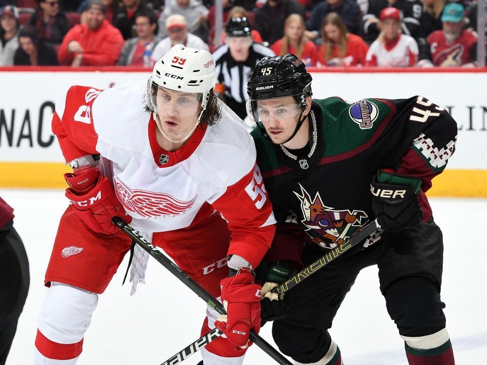 Red Wings Coyotes #1.jpg