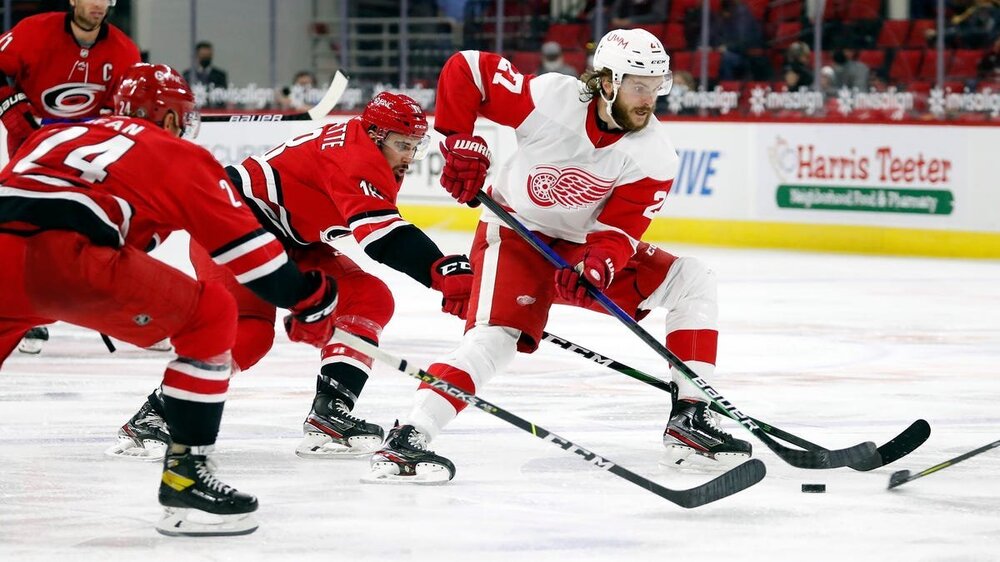 Red Wings - Hurricanes.jpg