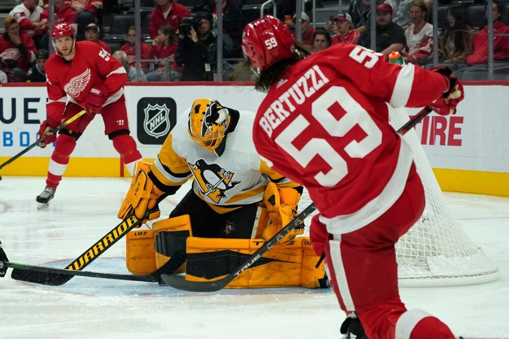 Red Wings - Penguins 5.jpg