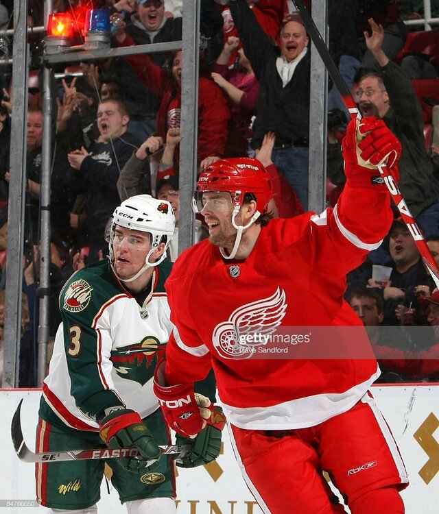 Red Wings - Wild 1.jpg