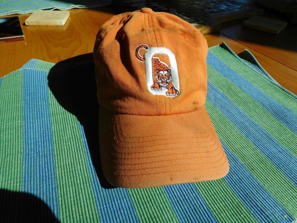 Ontonta cap.JPG