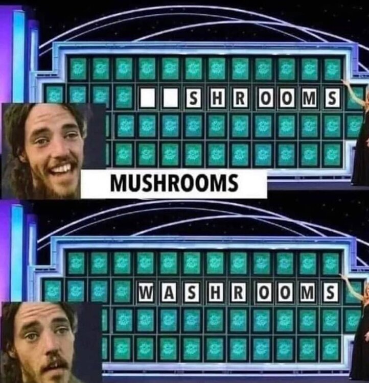 289435269_10159741297226704_4123952424083178839_n.jpg