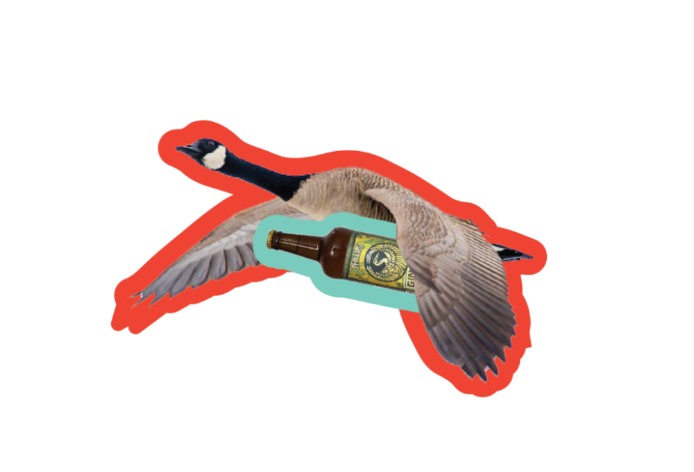 VBW-GooseWithBeer-01-1024x697.png