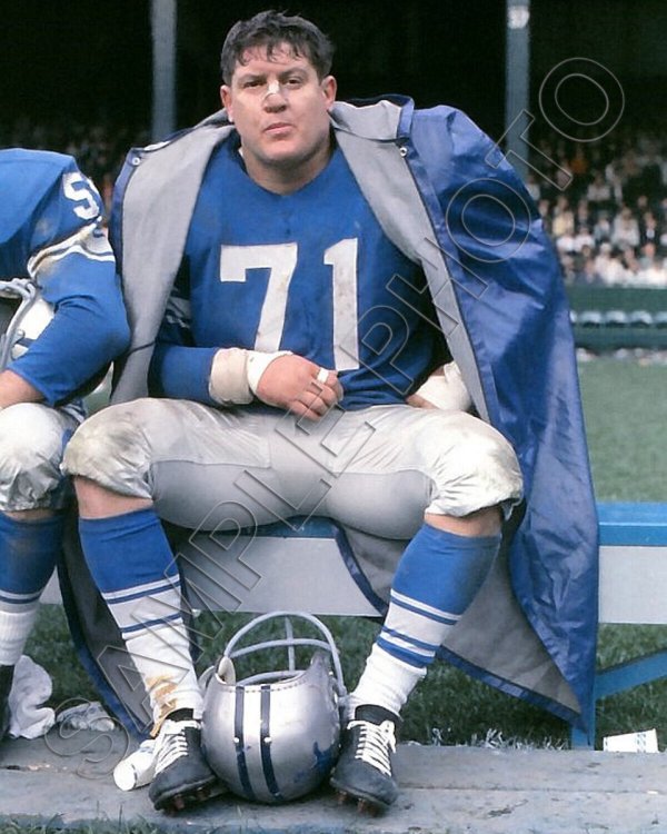 Alex Karras.jpg