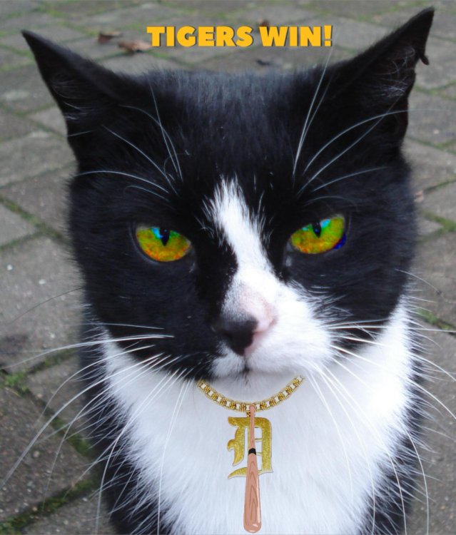 IMG_2732.thumb.png.682d0f2dd34a1cd7cf7ebde3dcfa6bc4.png